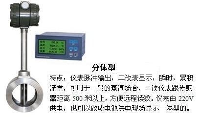 夾持式渦街流量計(jì)分體型產(chǎn)品圖